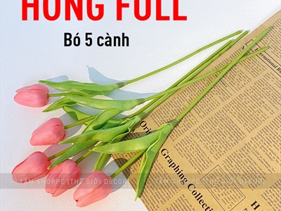 Bó 05 cành hoa tulip cao su như thật [Loại 1 - cùng màu] CANHHOA-03