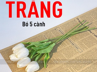 Bó 05 cành hoa tulip cao su như thật [Loại 1 - cùng màu] CANHHOA-03