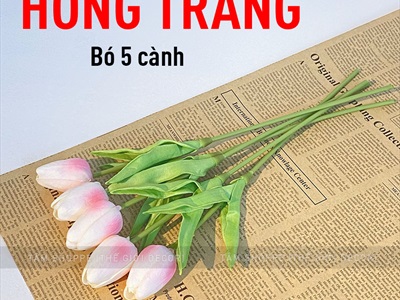 Bó 05 cành hoa tulip cao su như thật [Loại 1 - cùng màu] CANHHOA-03