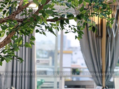 Bó nhiều cành lá si giả làm cây xanh đẹp như thật [2 loại - Bó 3/10/12 cành] CANHLA-04
