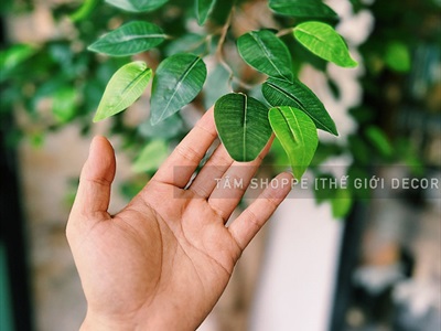 Bó nhiều cành lá si giả làm cây xanh đẹp như thật [2 loại - Bó 3/10/12 cành] CANHLA-04