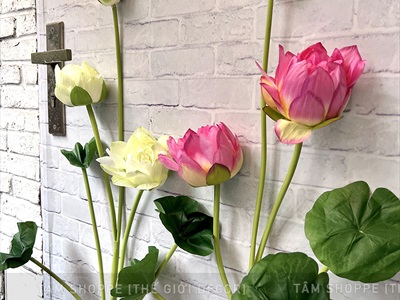 Cành sen dài thân dẻo cao 140cm [Loại đẹp - dễ uốn] CANHHOA-09