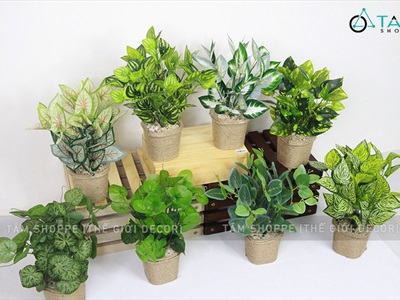 Cành lá cây giả 7 nhánh nhiều kiểu [Loại đẹp - Cao 35cm] CANHLA-03