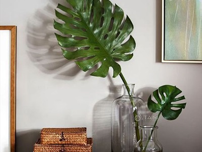 Cành lá rùa Monstera giả 8 màu [Dày đẹp - Dài 75cm] CANHLA-02