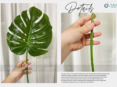 Cành lá rùa Monstera giả 8 màu [Dày đẹp - Dài 75cm] CANHLA-02