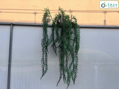 Cành lá thông rũ lá nhuyễn [Màu sậm - Dài 145cm] CANHLA-07
