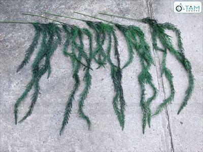 Cành lá thông rũ lá nhuyễn [Màu sậm - Dài 145cm] CANHLA-07