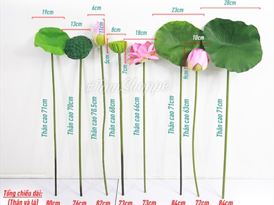 Cành sen quan âm cao cấp đẹp như thật (bán lẻ theo cành) CANHHOA-02