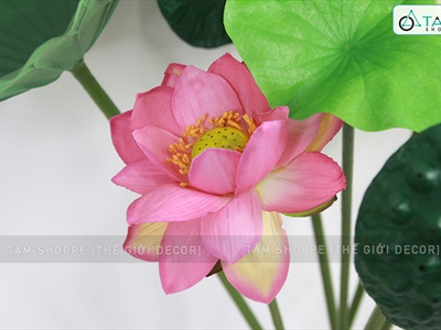 Cành sen quan âm cao cấp đẹp như thật (bán lẻ theo cành) CANHHOA-02