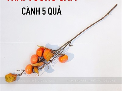 Cành trái hồng cao cấp như thật 5-8 trái CANHTRAI-02