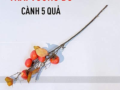 Cành trái hồng cao cấp như thật 5-8 trái CANHTRAI-02