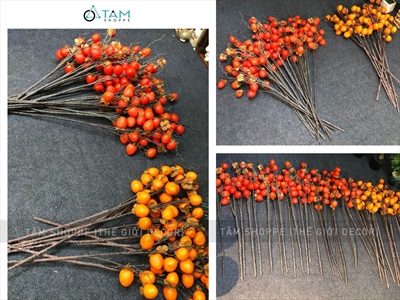 Cành trái hồng cao cấp như thật 5-8 trái CANHTRAI-02