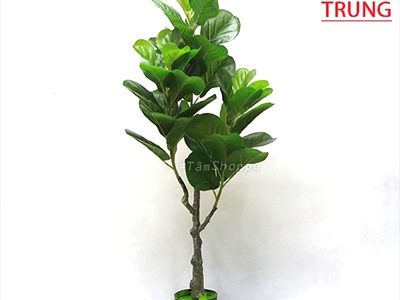 Cây bàng Singapore giả trang trí loại 1 cao 60-150cm CHAUCAYGIA-08
