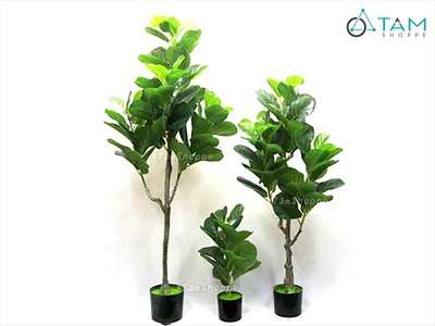 Cây bàng Singapore giả trang trí loại 1 cao 60-150cm CHAUCAYGIA-08