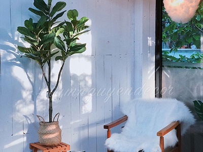 Cây bàng Singapore giả trang trí loại 1 cao 60-150cm CHAUCAYGIA-08