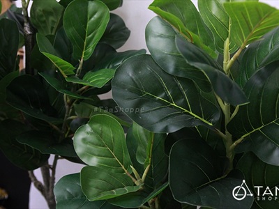 Cây bàng Singapore giả trang trí loại 1 cao 60-150cm CHAUCAYGIA-08