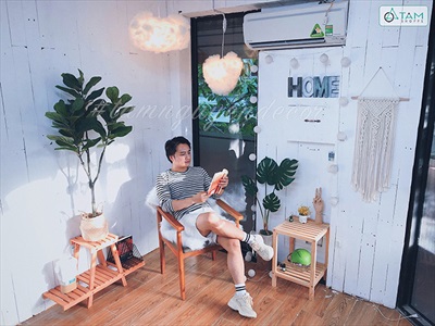 Cây bàng Singapore giả trang trí loại 1 cao 60-150cm CHAUCAYGIA-08