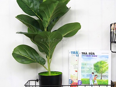 Cây bàng Singapore giả trang trí loại 1 cao 60-150cm CHAUCAYGIA-08