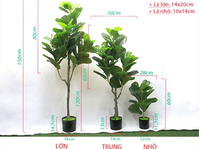 Cây bàng Singapore giả trang trí loại 1 cao 60-150cm CHAUCAYGIA-08