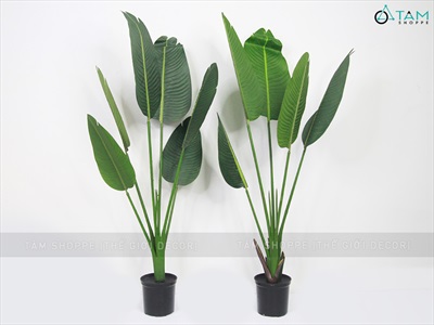 Chậu cây chuối cảnh giả cao 120-200cm CHAUCAYGIA-17