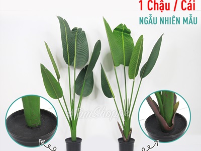 Chậu cây chuối cảnh giả cao 120-200cm CHAUCAYGIA-17
