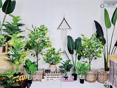 Chậu cây chuối cảnh giả cao 120-200cm CHAUCAYGIA-17