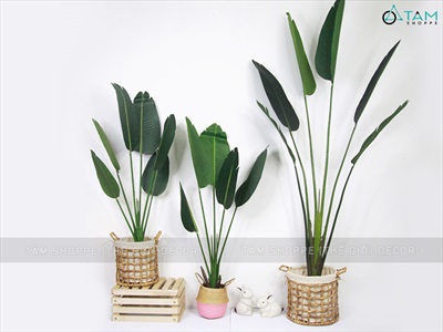 Chậu cây chuối cảnh giả cao 120-200cm CHAUCAYGIA-17