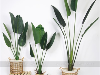 Chậu cây chuối cảnh giả cao 120-200cm CHAUCAYGIA-17