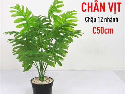Chậu cây xanh giả 12 lá nhiệt đới Tropical cao 50-60cm CHAUCAYGIA-14