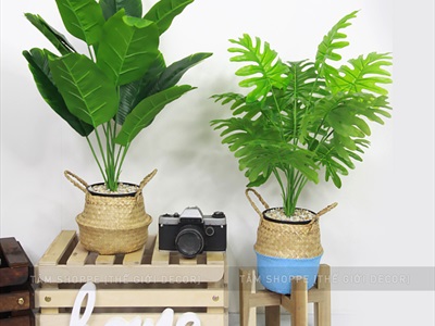 Chậu cây xanh giả 12 lá nhiệt đới Tropical cao 50-60cm CHAUCAYGIA-14