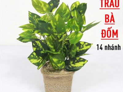 Chậu cây xanh giả 14 nhánh chậu thừng cao 35cm CHAUCAYGIA-15