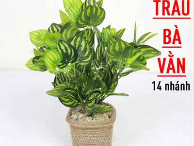 Chậu cây xanh giả 14 nhánh chậu thừng cao 35cm CHAUCAYGIA-15