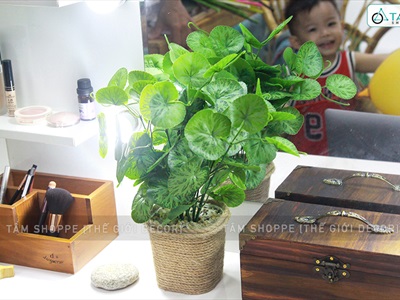 Chậu cây xanh giả 14 nhánh chậu thừng cao 35cm CHAUCAYGIA-15