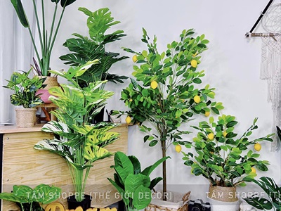 Chậu cây lá rùa Monstera 24 lá cao 100cm [Cây giả - Như thật] CHAUCAYGIA-18