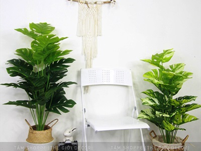 Chậu cây lá rùa Monstera 24 lá cao 100cm [Cây giả - Như thật] CHAUCAYGIA-18