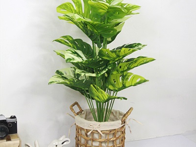Chậu cây lá rùa Monstera 24 lá cao 100cm [Cây giả - Như thật] CHAUCAYGIA-18