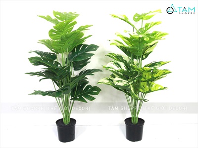 Chậu cây lá rùa Monstera 24 lá cao 100cm [Cây giả - Như thật] CHAUCAYGIA-18