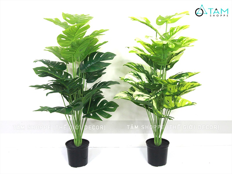 Chậu cây lá rùa Monstera 24 lá cao 100cm [Cây giả - Như thật] CHAUCAYGIA-18