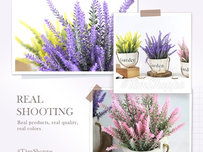 Chậu hoa Lavender để bàn xô gỗ Garden CHAUHOACS-03