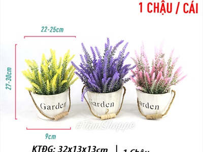Chậu hoa Lavender để bàn xô gỗ Garden CHAUHOACS-03
