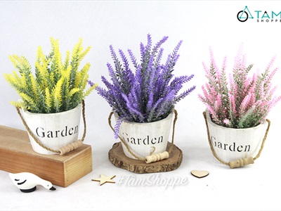 Chậu hoa Lavender để bàn xô gỗ Garden CHAUHOACS-03