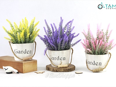 Chậu hoa Lavender để bàn xô gỗ Garden CHAUHOACS-03
