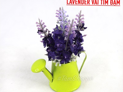Chậu hoa mini để bàn bình tưới Lavender nhiều kiểu CHAUHOACS-02