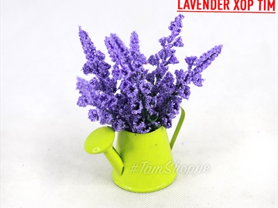 Chậu hoa mini để bàn bình tưới Lavender nhiều kiểu CHAUHOACS-02