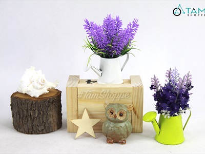 Chậu hoa mini để bàn bình tưới Lavender nhiều kiểu CHAUHOACS-02