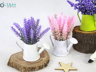 Chậu hoa mini để bàn bình tưới Lavender nhiều kiểu CHAUHOACS-02