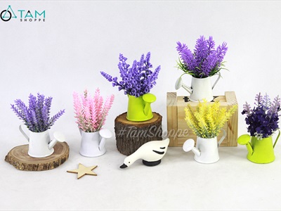 Chậu hoa mini để bàn bình tưới Lavender nhiều kiểu CHAUHOACS-02