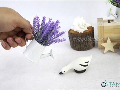 Chậu hoa mini để bàn bình tưới Lavender nhiều kiểu CHAUHOACS-02