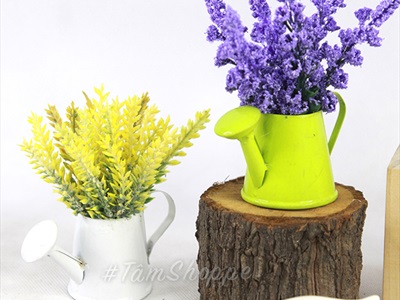 Chậu hoa mini để bàn bình tưới Lavender nhiều kiểu CHAUHOACS-02