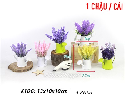 Chậu hoa mini để bàn bình tưới Lavender nhiều kiểu CHAUHOACS-02